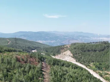 Çat Peyzaj